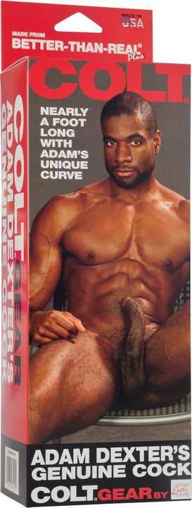 Image du produit CalExotics COLT Adam Dexter Cock