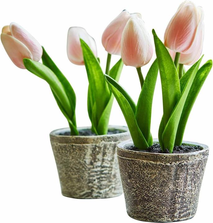 Actual product image Loberon Deko-Tulpe 2er Set Zéphine rosa (20 cm)
