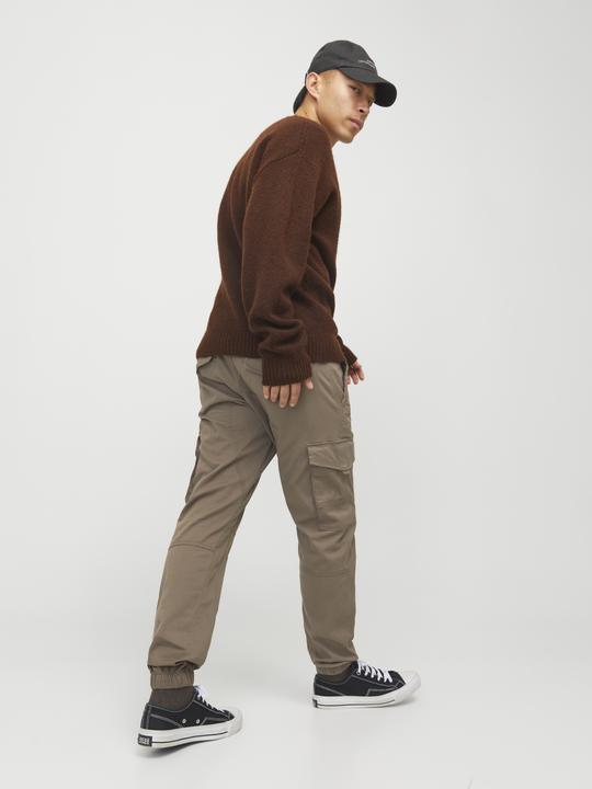 Image du produit Jack & Jones Jpstpaul Jjflake Cargo Noos (W34/L30)