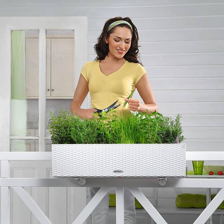 Image du produit Lechuza Chalet Balconera (19 cm)