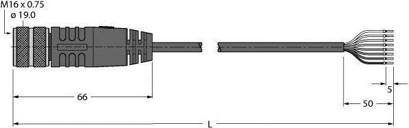 Image du produit Turck Câble de capteur industriel Gaine de câble PVC BKM14-E01-5/TEL (5 m)