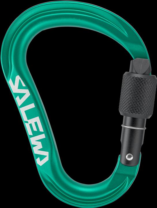 Immagine prodotto Salewa Ortles Hms M Carabiner