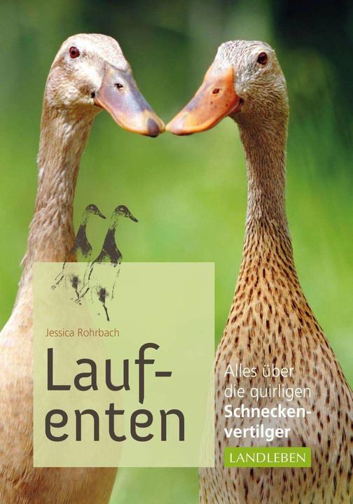 Actual product image Laufenten (German, Jessica pipe brook, 2014)