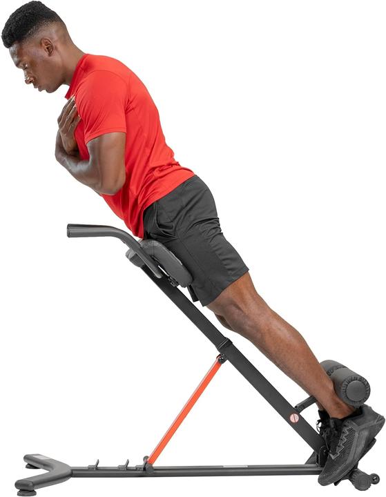 Actual product image Sunny Health & Fitness Back trainer
