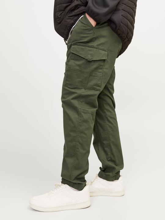 Image du produit Jack & Jones Paul Flake AKM 542 Pantalon Cargo Plus Size (46)