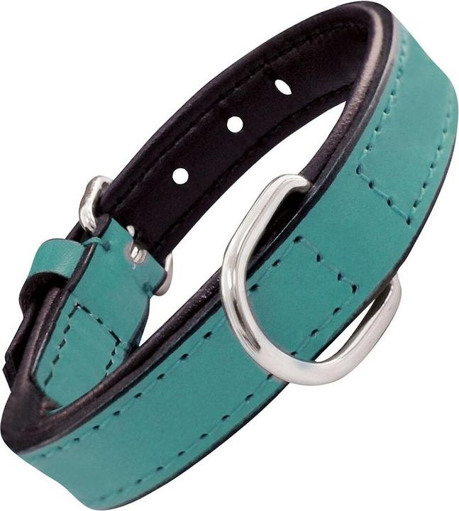 Actual product image Gloria Dog collar padding Turquoise 50 cm (50 x 2.5 cm) (Dog, General)