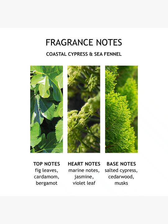 Produktbild Molton Brown Coastal Cypress & Sea Fennel (300 ml)