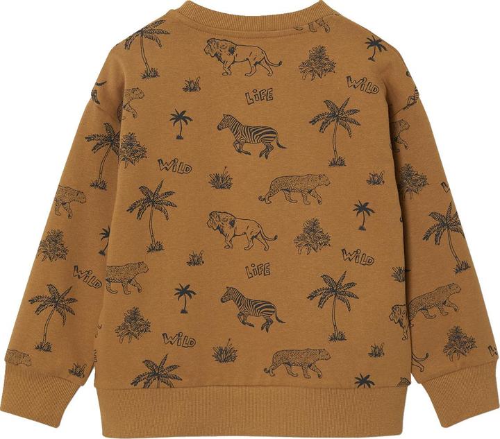 Actual product image Vertbaudet Jungen Sweatshirt mit Recycling-Polyester (140)
