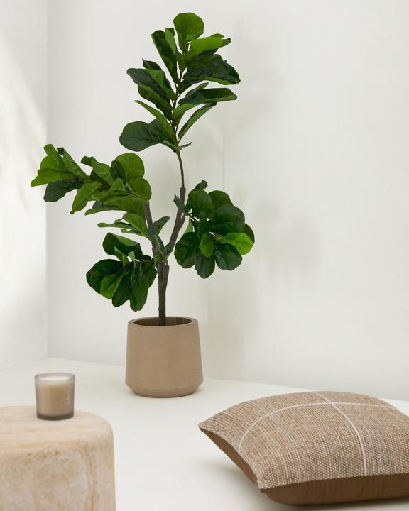 Actual product image Kave Home Ficus (150 cm)
