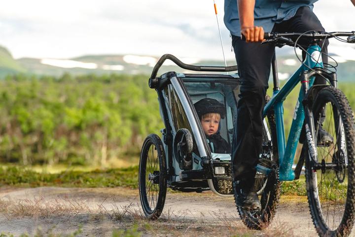 Actual product image Thule Chariot Cross 2