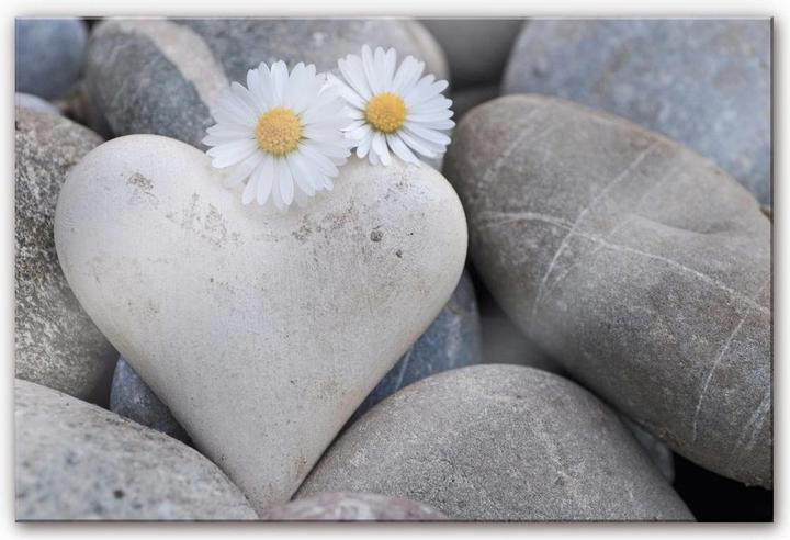 Image du produit Trenddeko Fleurs d'amour (60 x 40 cm)