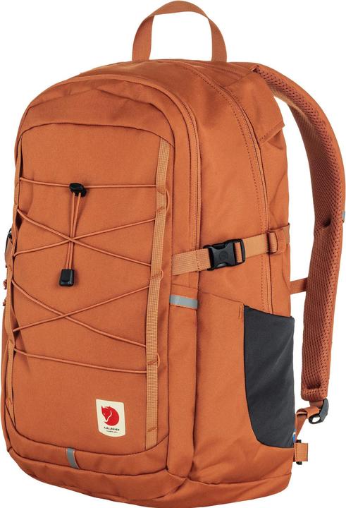 Terracotta Brown
