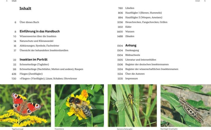 Produktbild Das grosse Handbuch Insekten (Deutsch, Ewald Gerhardt, 2021)