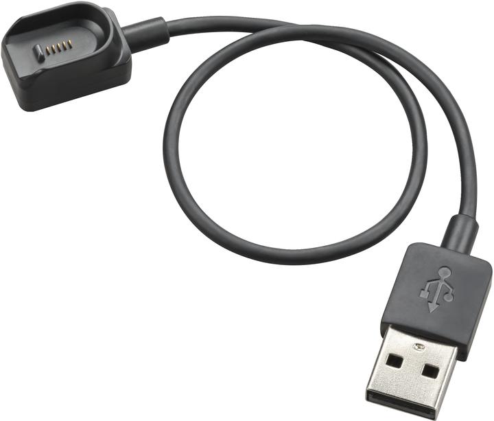 Productafbeelding Poly Ply Voy Legend Chrg Cbl USB-A