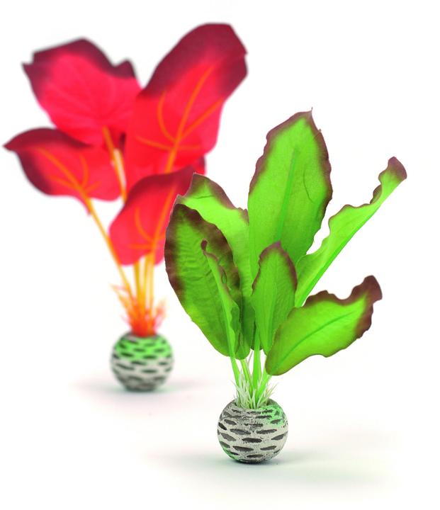 Immagine prodotto Oase biOrb Set di piante di seta piccolo (Decorazione, altre voci)