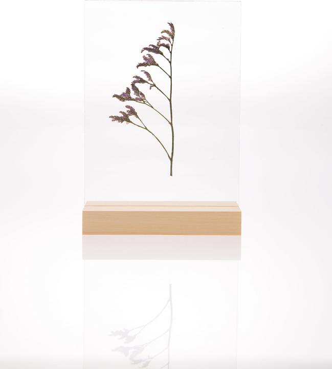 Immagine prodotto Rico Design Supporto in legno con doppio disco acrilico, 13 x 18 cm (13 x 18 cm)