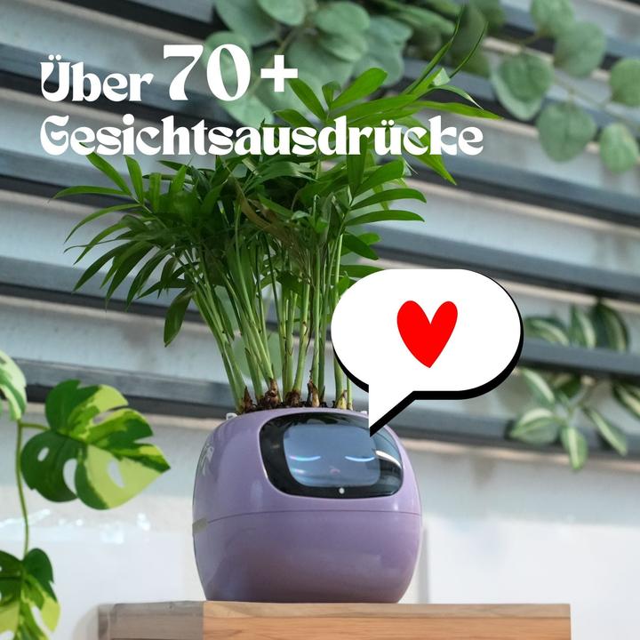 Actual product image Hermex Ivy Smart Planter (11 cm)