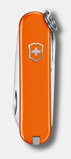 Immagine prodotto Victorinox Cellidor