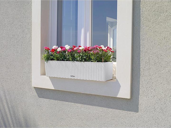 Image du produit Lechuza Chalet Balconera (19 cm)