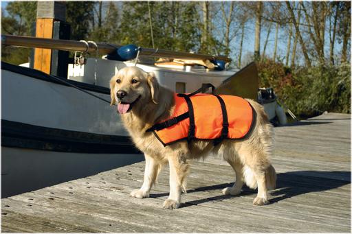 Produktbild Beeztees Sicherheits-Schwimmweste (L, Hundeschwimmweste)