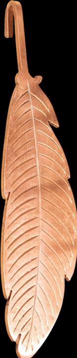 Actual product image Forrest & Love Copper infuser spring