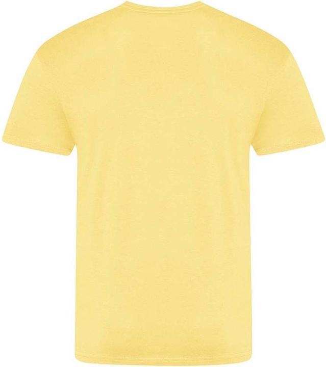 Image du produit Awdis The 100 Tshirt (XL)