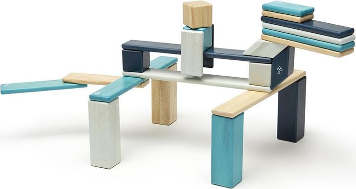 Actual product image Tegu Magnetic wood set