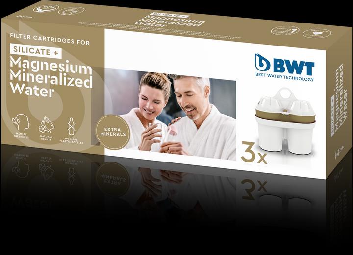 Actual product image BWT Filter cartridges (3 x)