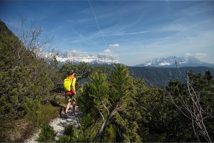 Image du produit Salewa Carbonium Alp Speed Poles (46 - 130 cm)