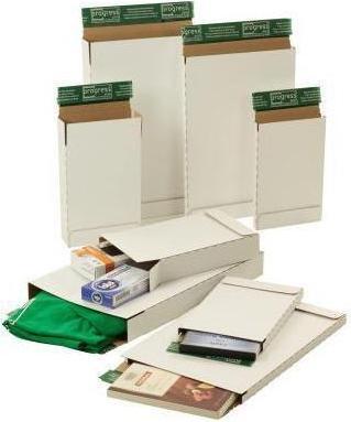 Produktbild Progress Packaging Versandkarton progress pack Briefbox PREMIUM (1 x)