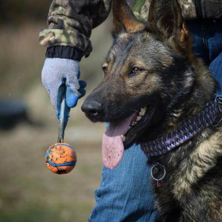 Produktbild Chuckit! Ball auf einem Seil szarpak 5 cm für einen Hund (Kauspielzeug Hund)