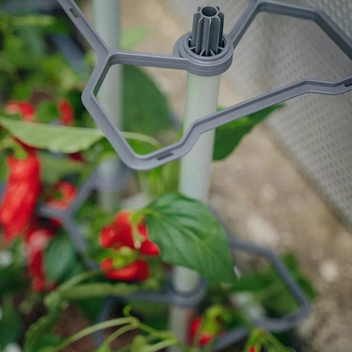 Productafbeelding Gusta Garden Charly Chili (35 cm)