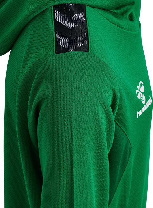 Actual product image hummel Hmlauthentic Pl Hoodie Kids (152)