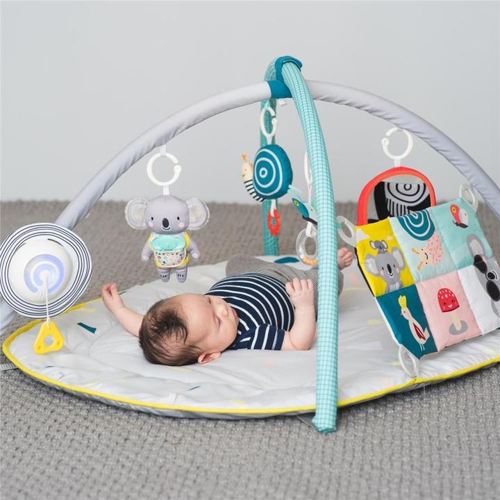 Actual product image Taf Toys All Around Me