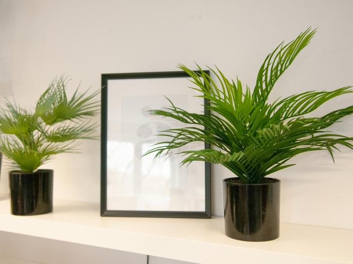 Produktbild Europalms Goldfruchtpalme, Kunstpflanze, 46 cm (46 cm)