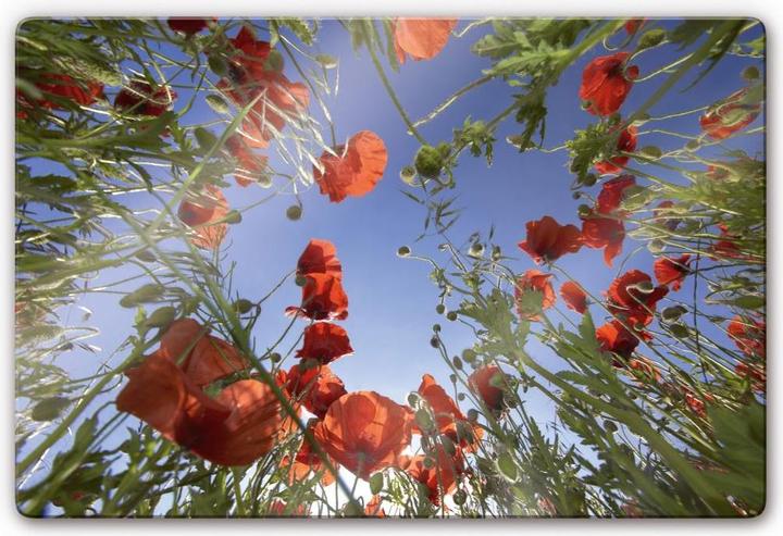 Actual product image Trenddeko Poppyfield (60 x 40 cm)