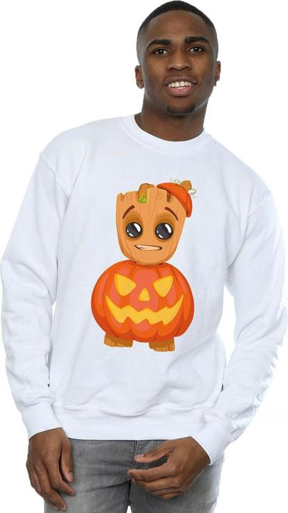 Produktbild Sweatshirt (3XL)