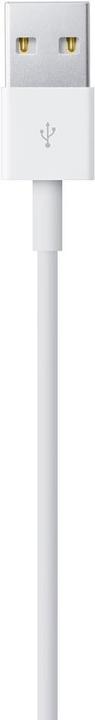 Produktbild Apple Lightning auf USB Kabel (1 m, USB 2.0)