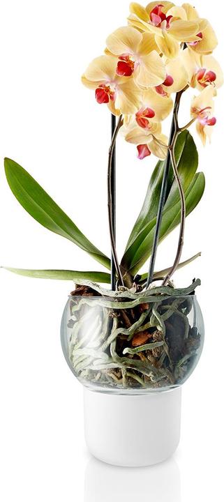 Produktbild Eva Solo Orchideentopf (15 cm)