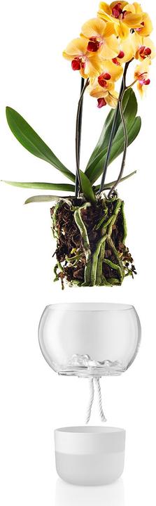 Produktbild Eva Solo Orchideentopf (15 cm)