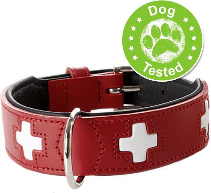 Immagine prodotto Hunter svizzero (Cane, Generale)
