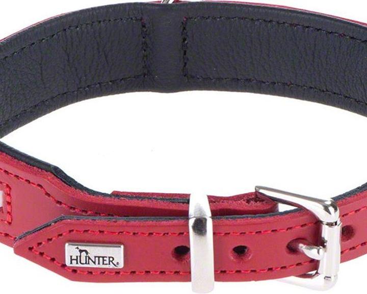 Immagine prodotto Hunter svizzero (Cane, Generale)