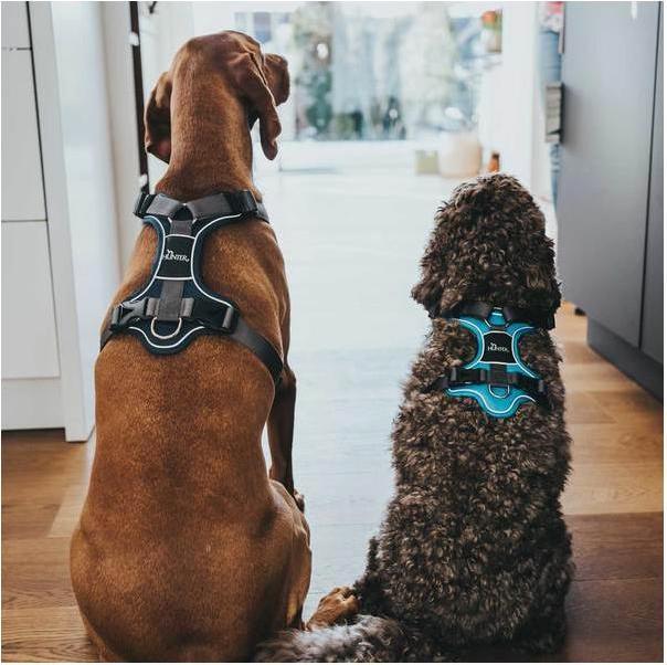 Produktbild Hunter Geschirr Divo (S, Hund, Allgemein)