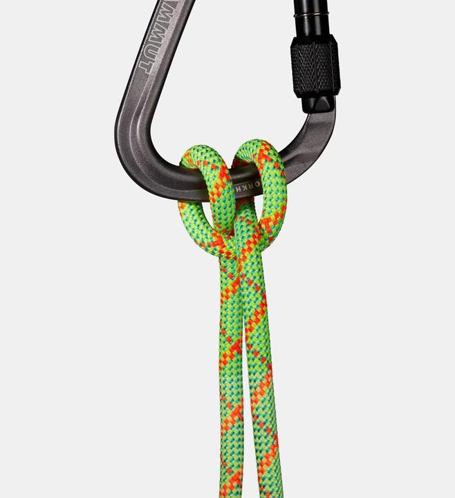 Produktbild Mammut 8.0 Alpine Core Protect Dry Rope (30 m)