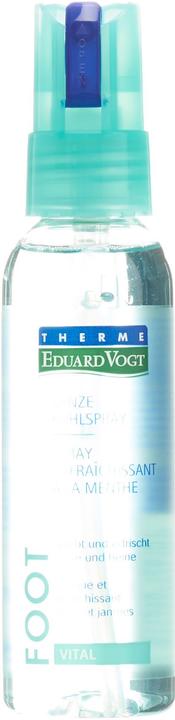 Immagine prodotto Eduard Vogt Piede di zecca Eduard (Deodorante per piedi e polvere, 100 ml)