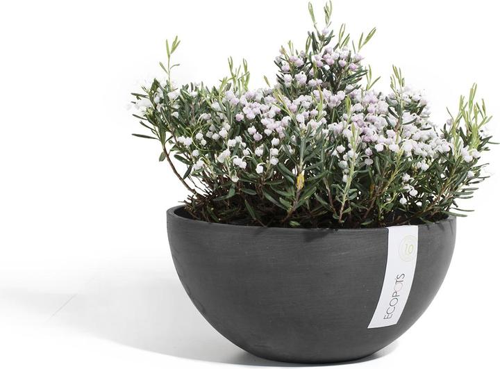 Actual product image Ecopots Brussels (25 cm)