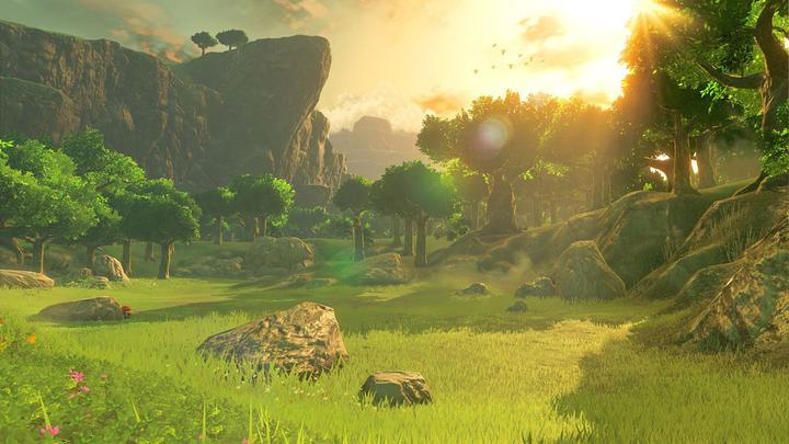 Actual product image Nintendo The Legend of Zelda: Breath Of The Wild (Switch, DE)