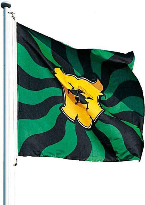 Actual product image Keller Fahnen Kantonsfahne geflammt Schaffhausen Superflag® 100x100 cm