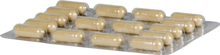 Produktbild Bullrich Heilerde Kapseln, 48 St. Kapseln (48 Stück)