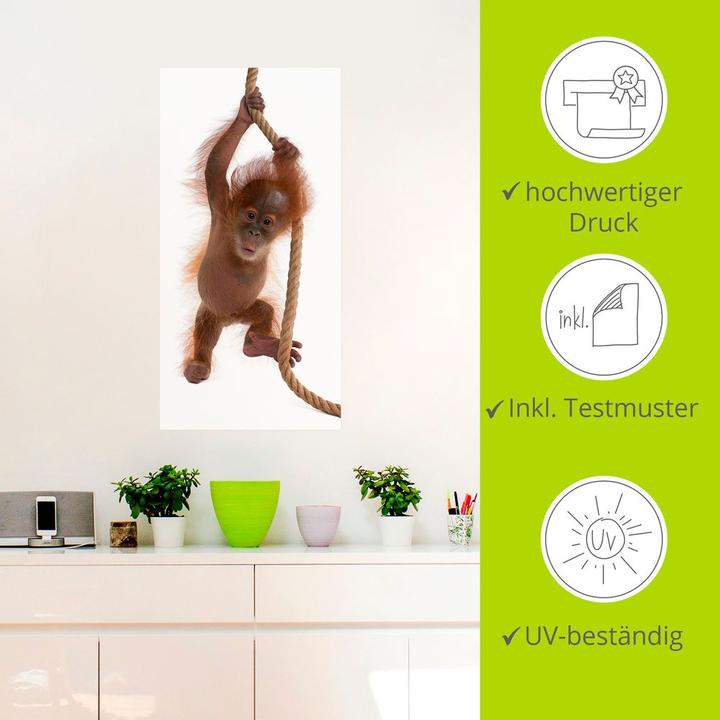 Image du produit Artland Bébé orang-outan suspendu à une corde I T5RI (20 x 40 cm)